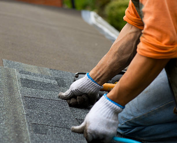 Best Roof Gutter Cleaning  in Margate, FL